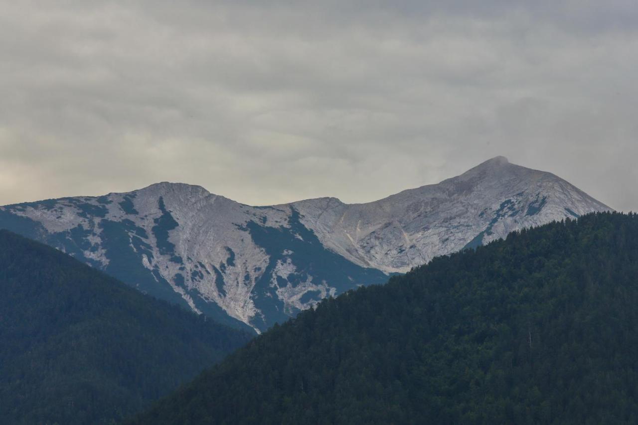 Villa Mountain Hawk Park Bansko Esterno foto