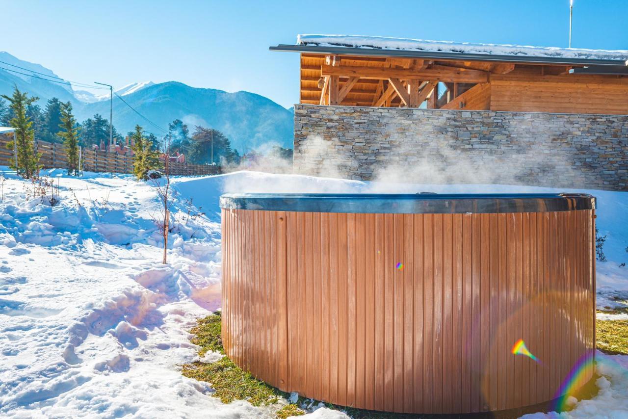 Villa Mountain Hawk Park Bansko Esterno foto